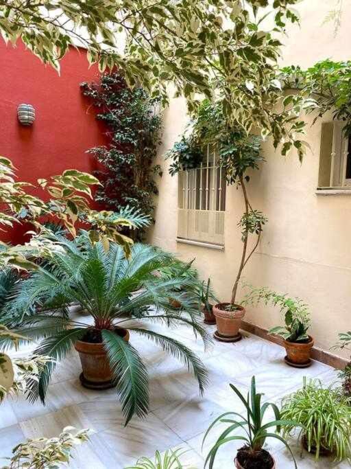 Acogedor Y Tranquilo Cerca De Las Setas - Centro Sevilla Exterior foto